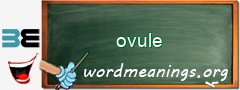 WordMeaning blackboard for ovule